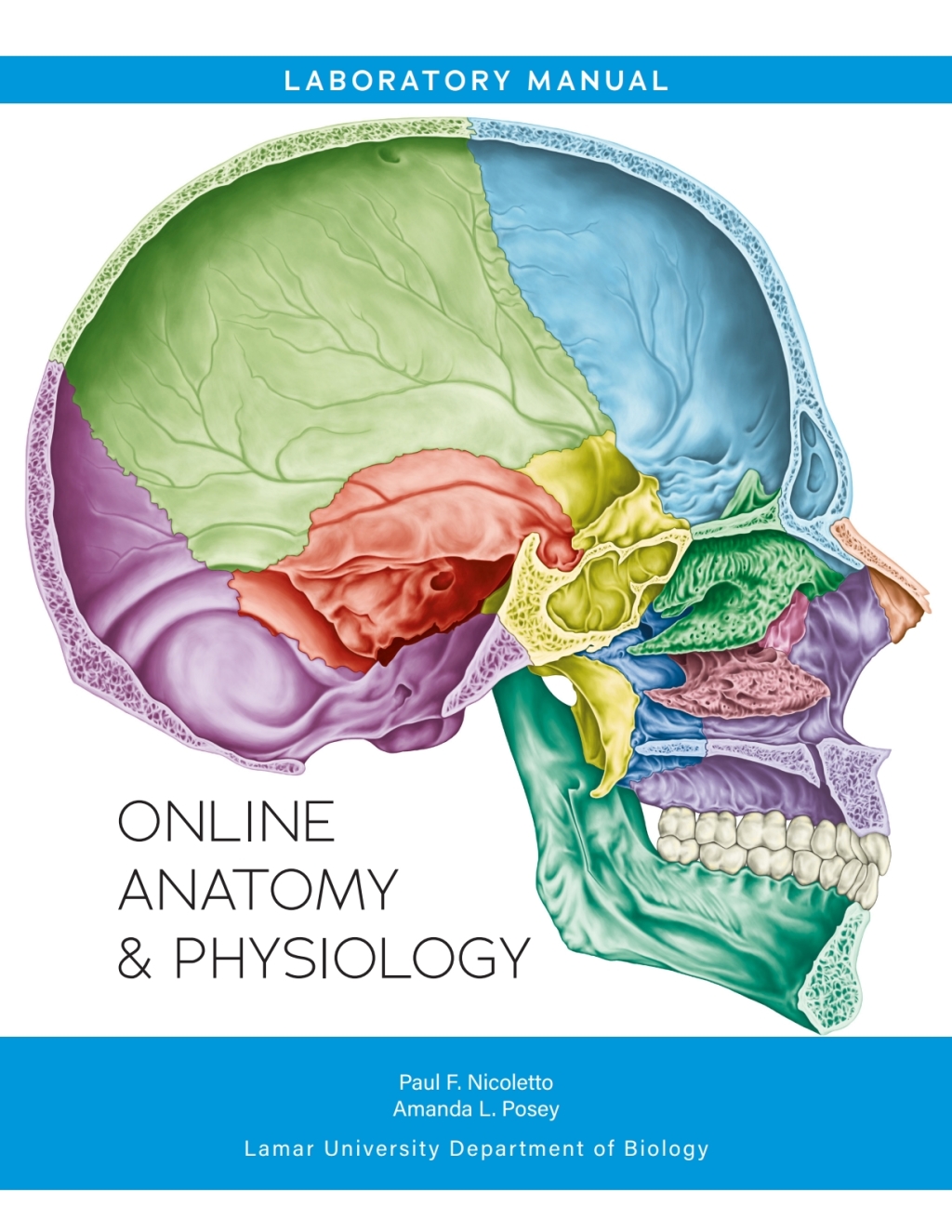 Online Anatomy & Physiology 2nd Edition â€“ PDF/EPUB Version Downloadable