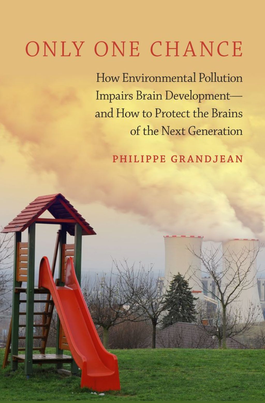 Only One Chance How Environmental Pollution Impairs Brain Development -- and How to Protect the Brains of the Next Generation  â€“ PDF/EPUB Version Downloadable