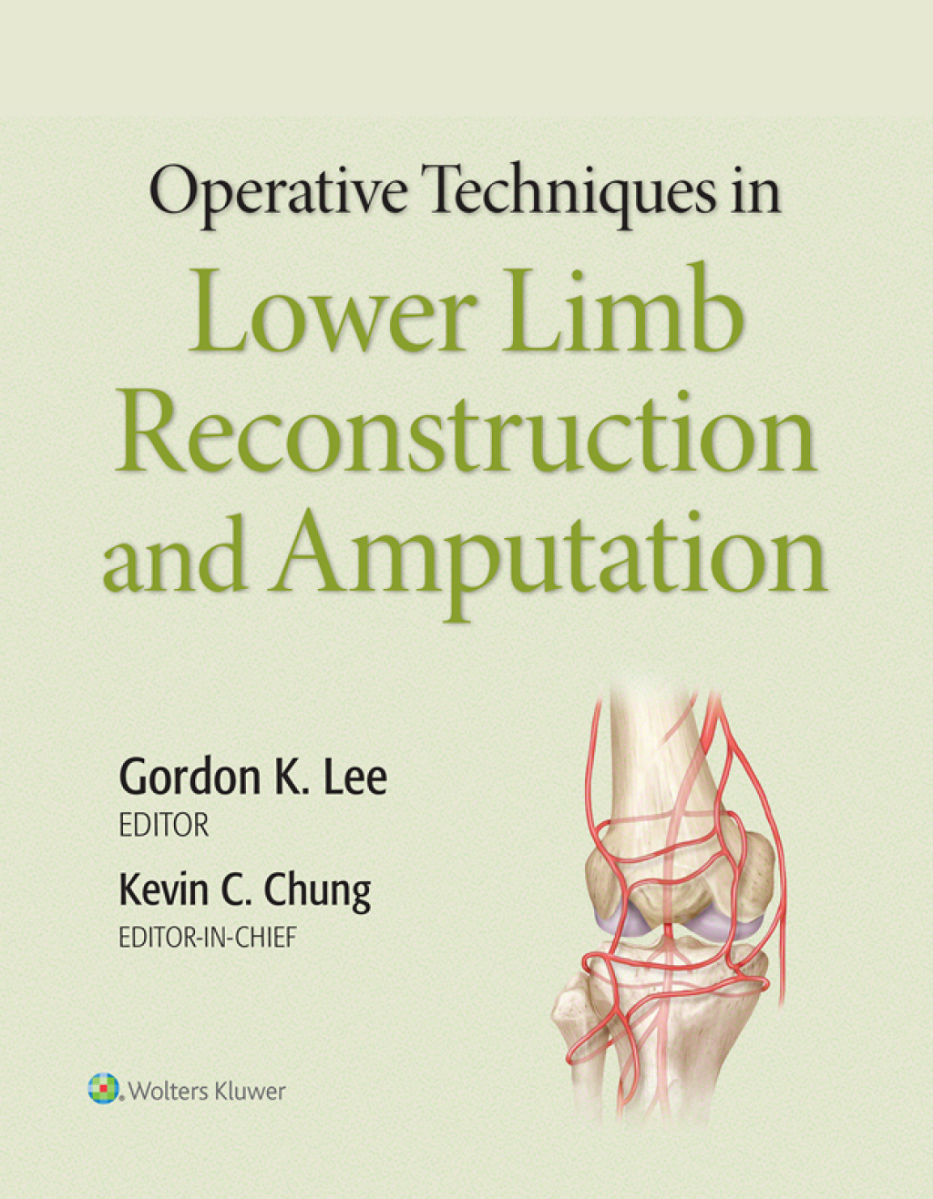 Operative Techniques in Lower Limb Reconstruction and Amputation  â€“ PDF/EPUB Version Downloadable