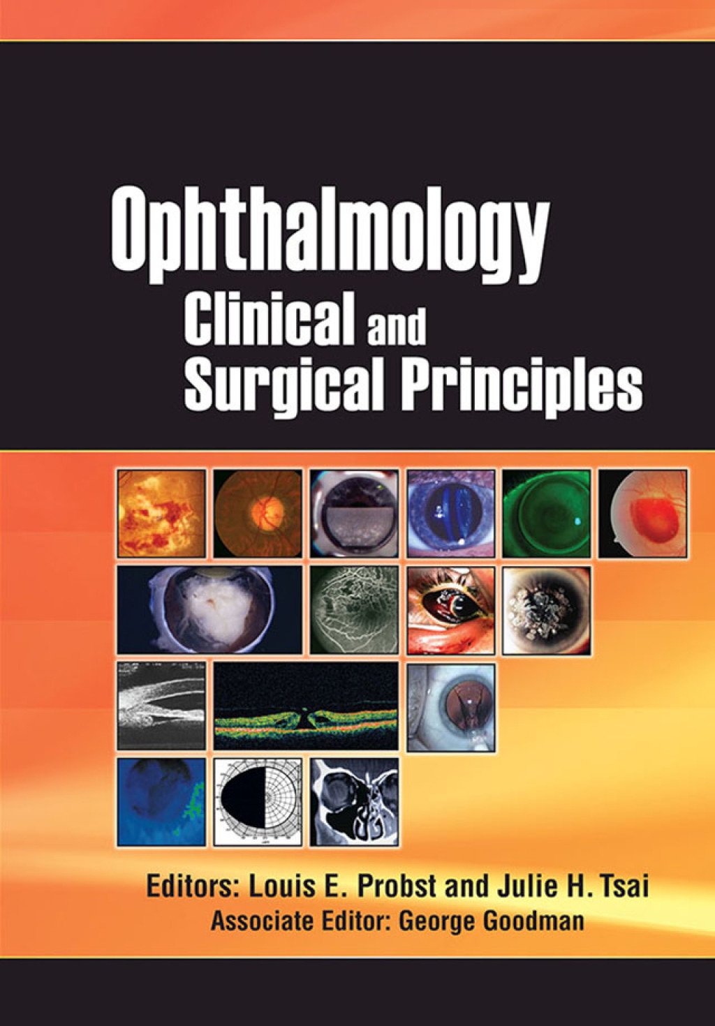 Ophthalmology Clinical and Surgical Principles 1st Edition â€“ PDF/EPUB Version Downloadable