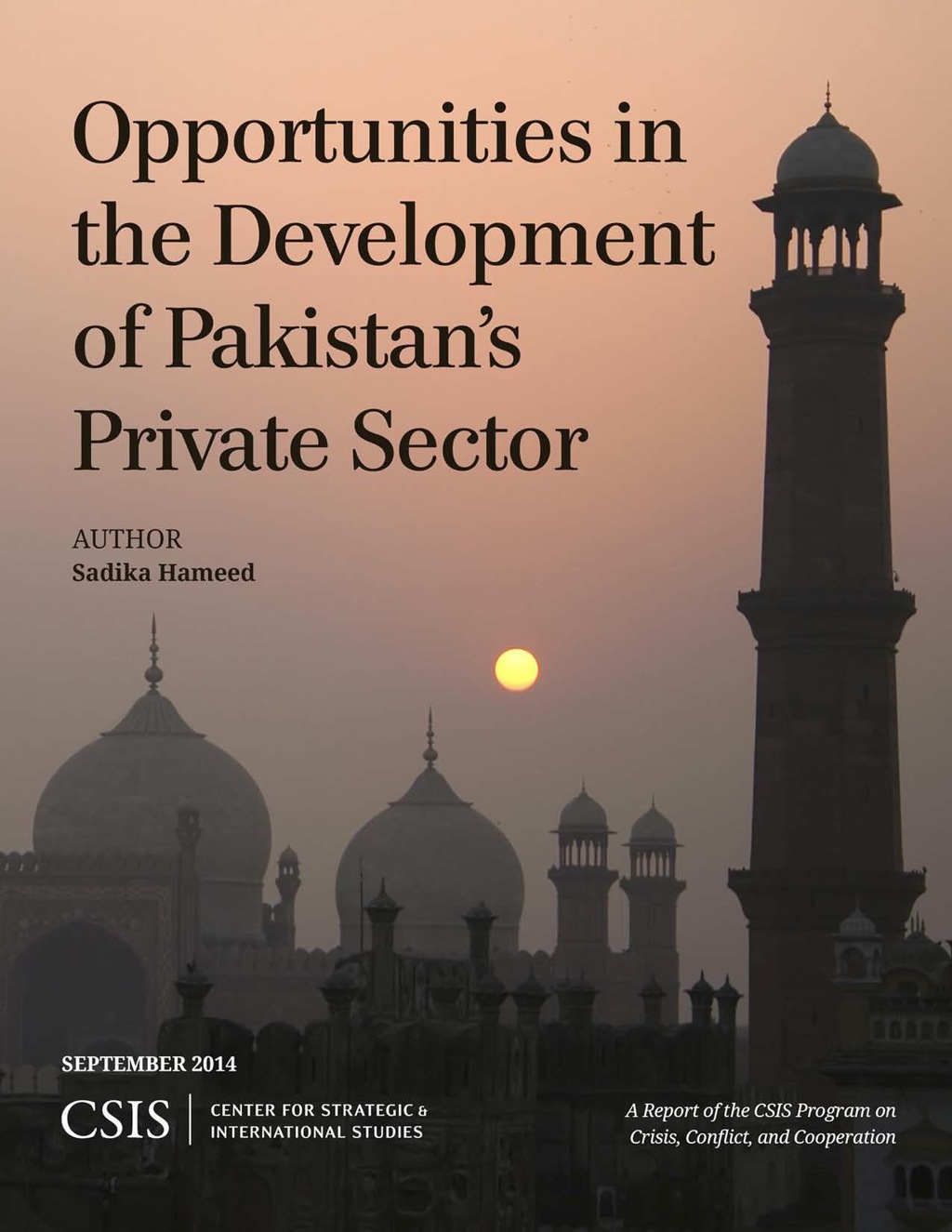Opportunities in the Development of Pakistan's Private Sector 1st Edition â€“ PDF/EPUB Version Downloadable