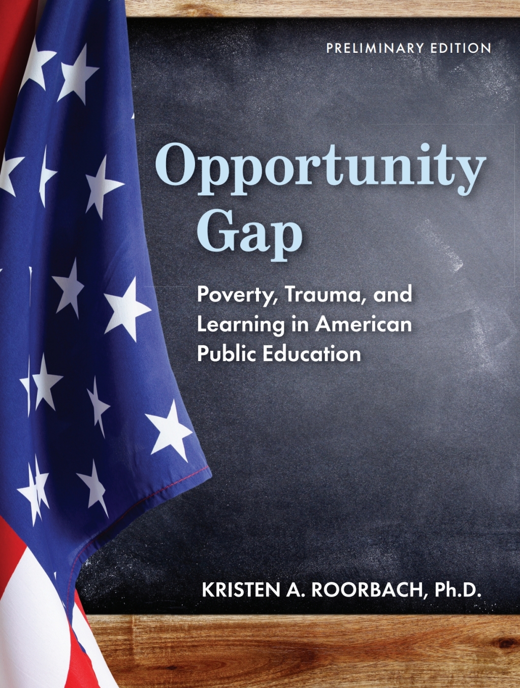 Opportunity Gap 1st Edition â€“ PDF/EPUB Version Downloadable