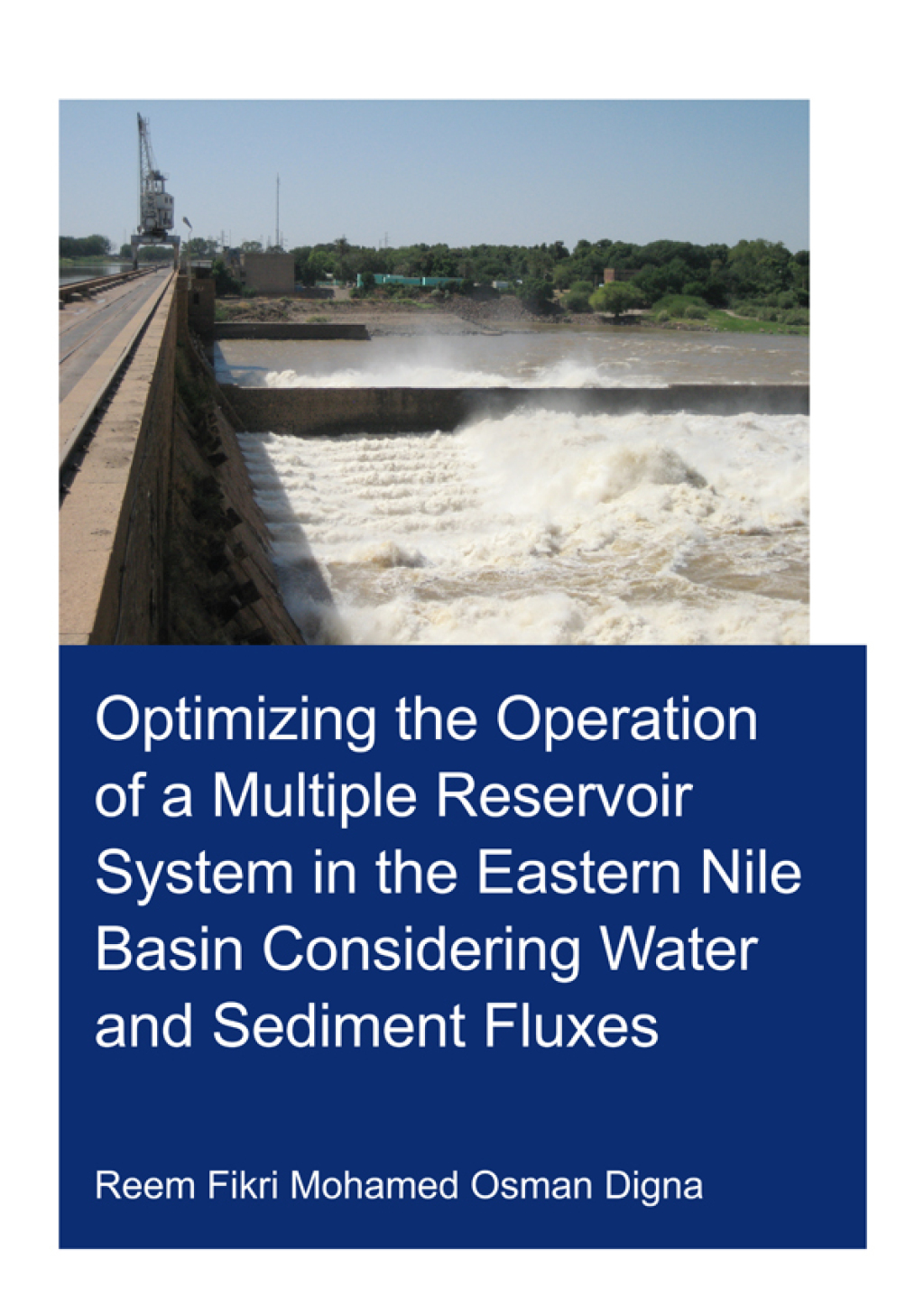 Optimizing the Operation of a Multiple Reservoir System in the Eastern Nile Basin Considering Water and Sediment Fluxes 1st Edition â€“ PDF/EPUB Version Downloadable