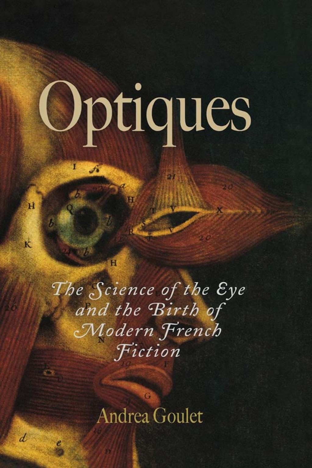 Optiques The Science of the Eye and the Birth of Modern French Fiction  â€“ PDF/EPUB Version Downloadable