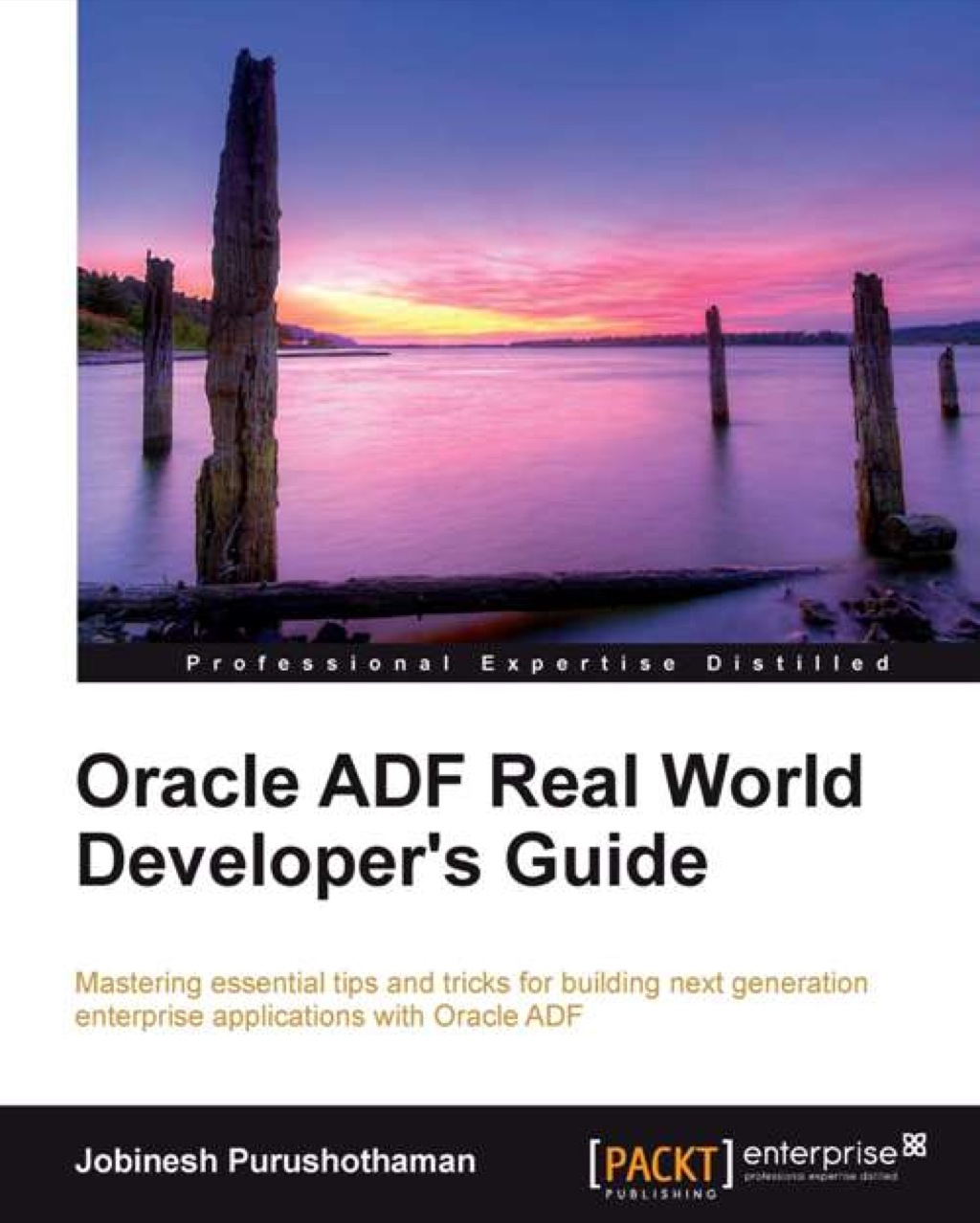 Oracle ADF Real World Developer's Guide 1st Edition â€“ PDF/EPUB Version Downloadable