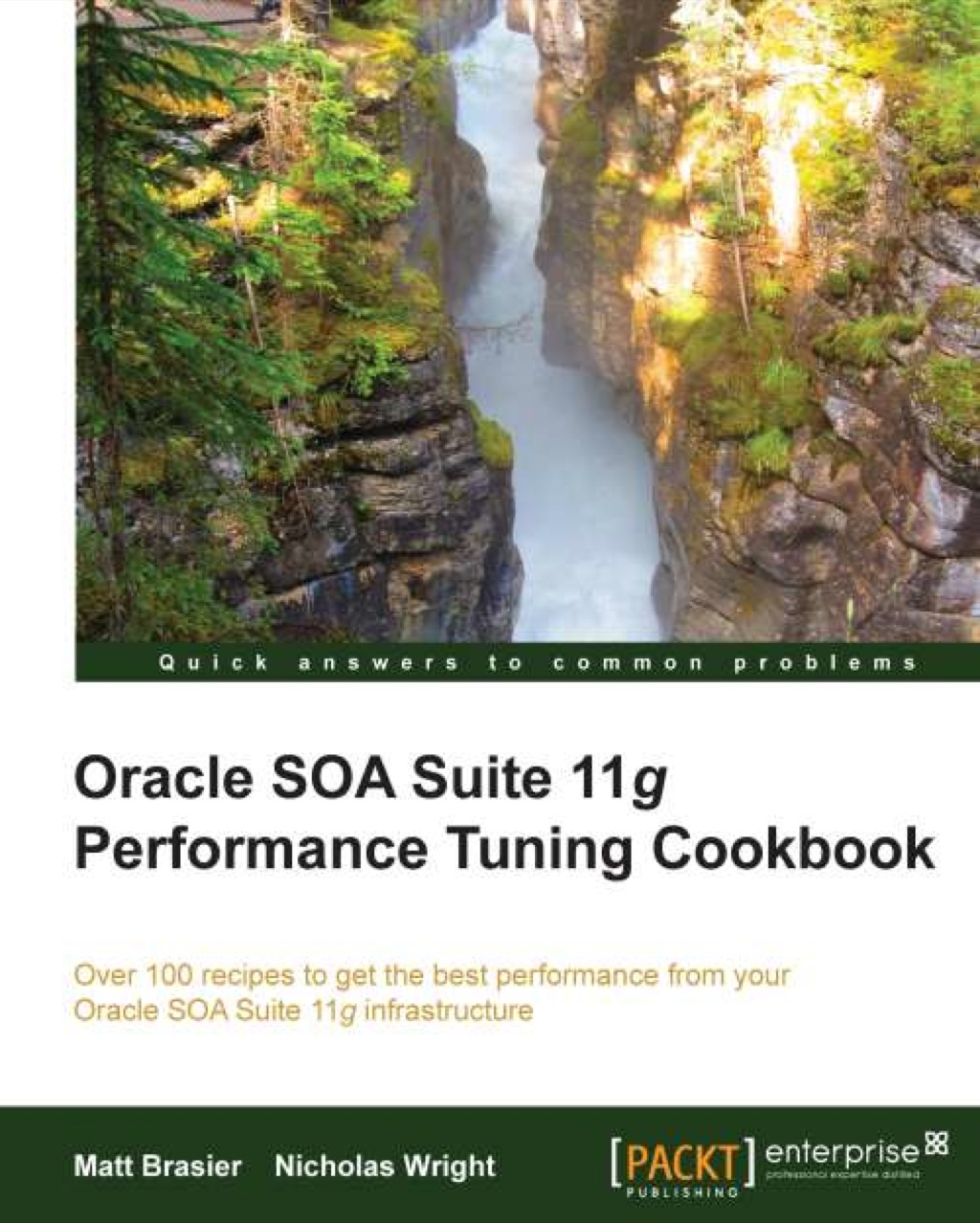 Oracle SOA Suite 11g Performance Tuning Cookbook 1st Edition â€“ PDF/EPUB Version Downloadable