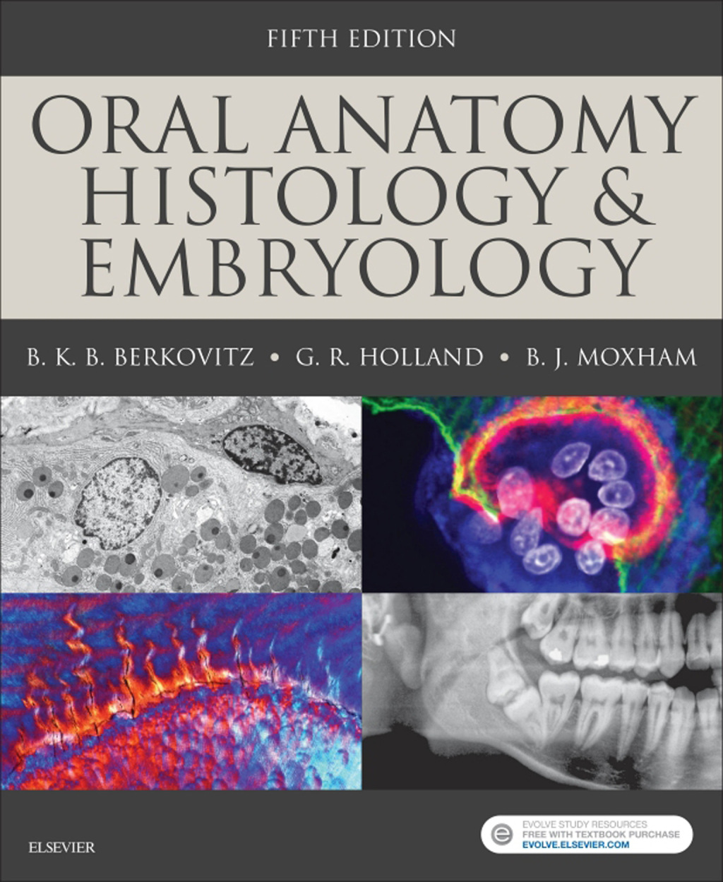 Oral Anatomy, Histology and Embryology 5th Edition â€“ PDF/EPUB Version Downloadable