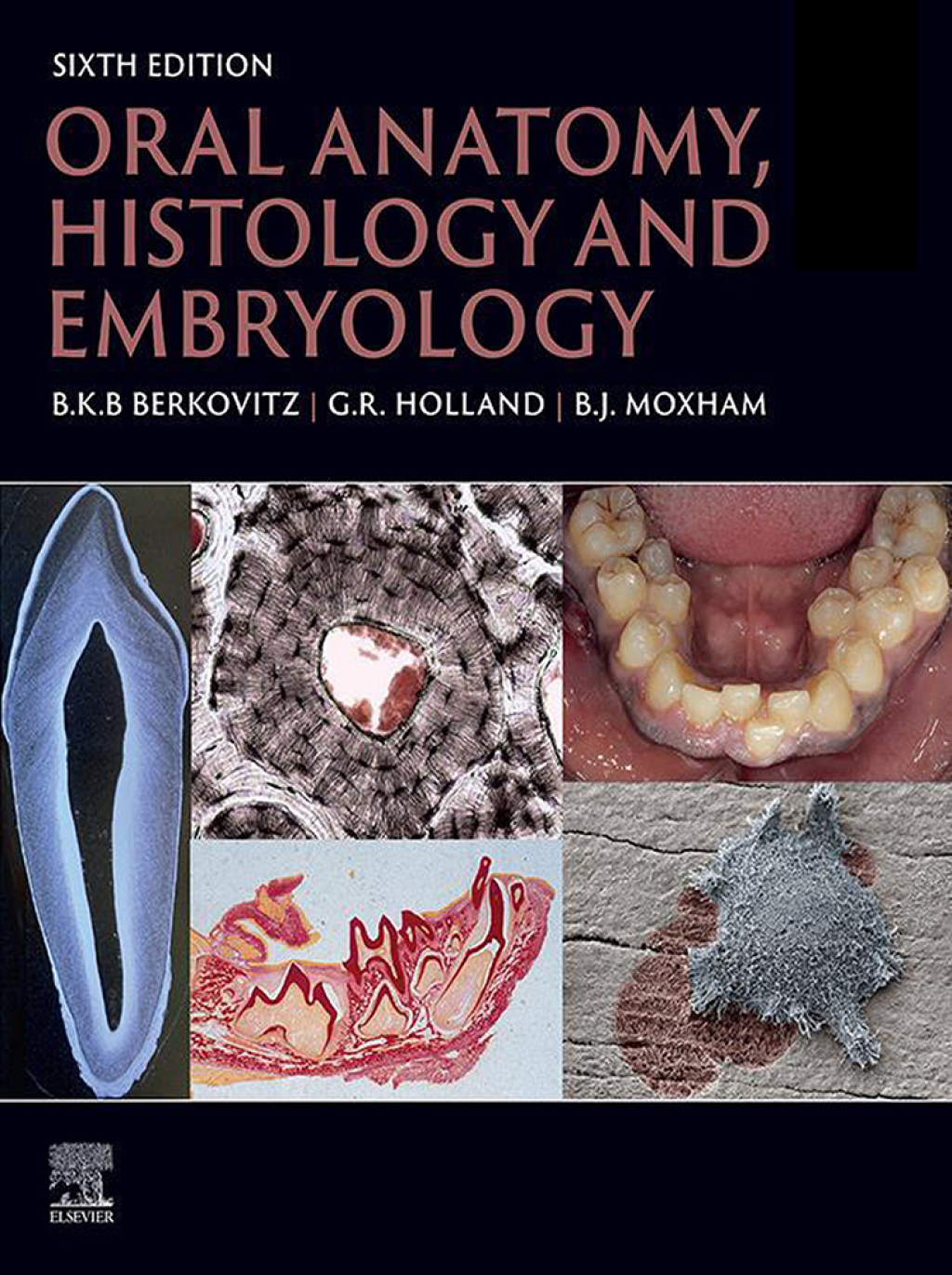 Oral Anatomy, Histology and Embryology 6th Edition â€“ PDF/EPUB Version Downloadable