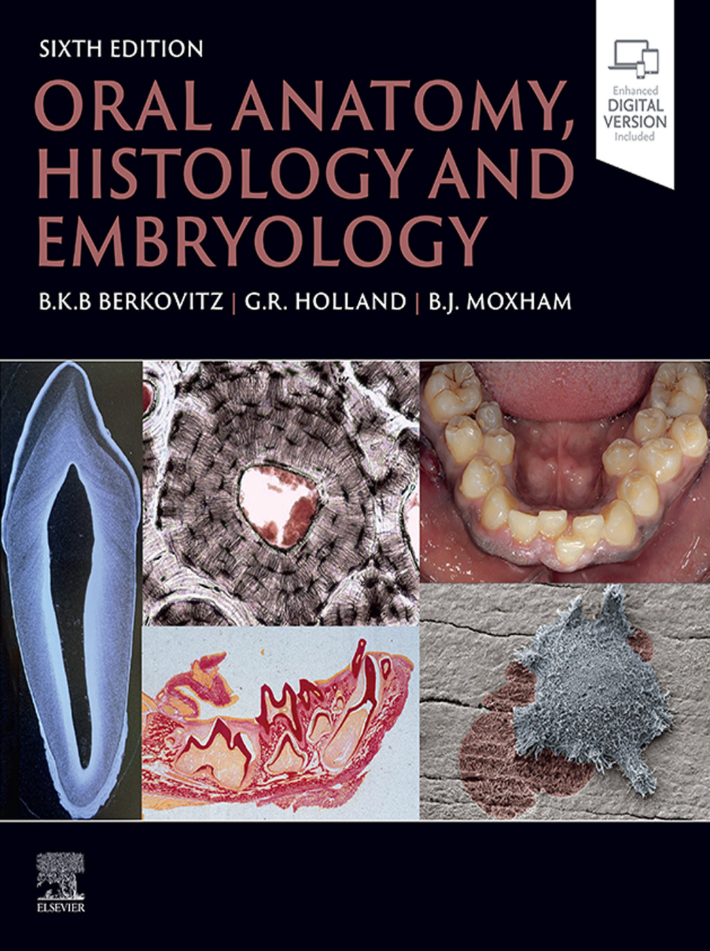 Oral Anatomy, Histology and Embryology 6th Edition – PDF/EPUB Version Downloadable Oral Anatomy, Histology and Embryology 6th Edition – PDF/EPUB Version Downloadable - Image 1