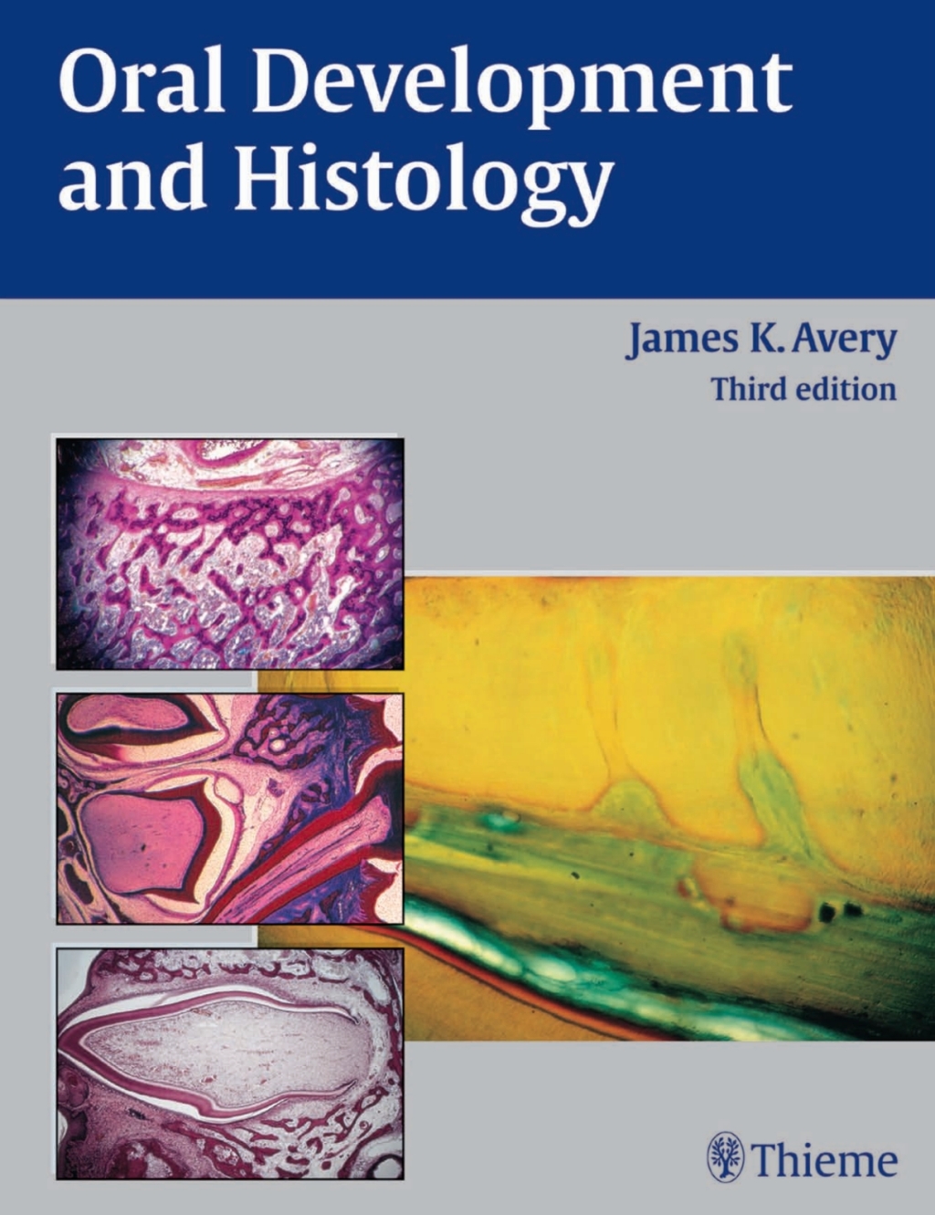 Oral Development and Histology 3rd Edition â€“ PDF/EPUB Version Downloadable