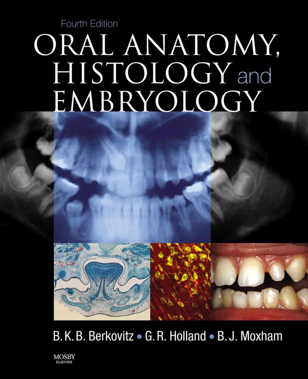 Oral Histology and Embryology 4th Edition â€“ PDF/EPUB Version Downloadable
