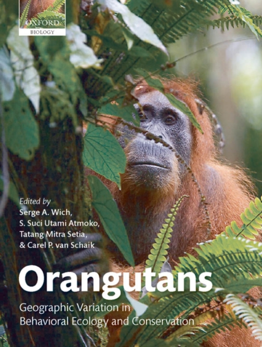 Orangutans Geographic Variation in Behavioral Ecology and Conservation 1st Edition â€“ PDF/EPUB Version Downloadable