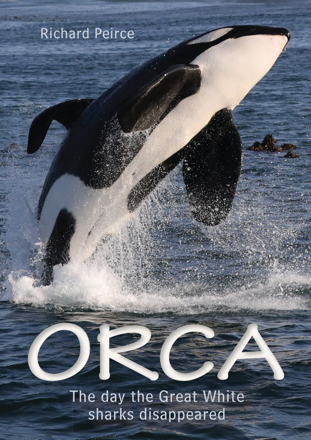 Orca 1st Edition - (PDF/EPUB Version)