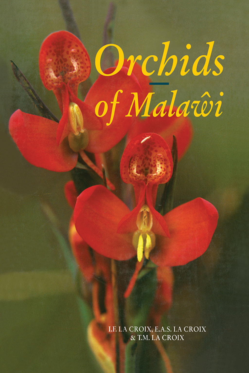 Orchids of Malawi 1st Edition â€“ PDF/EPUB Version Downloadable