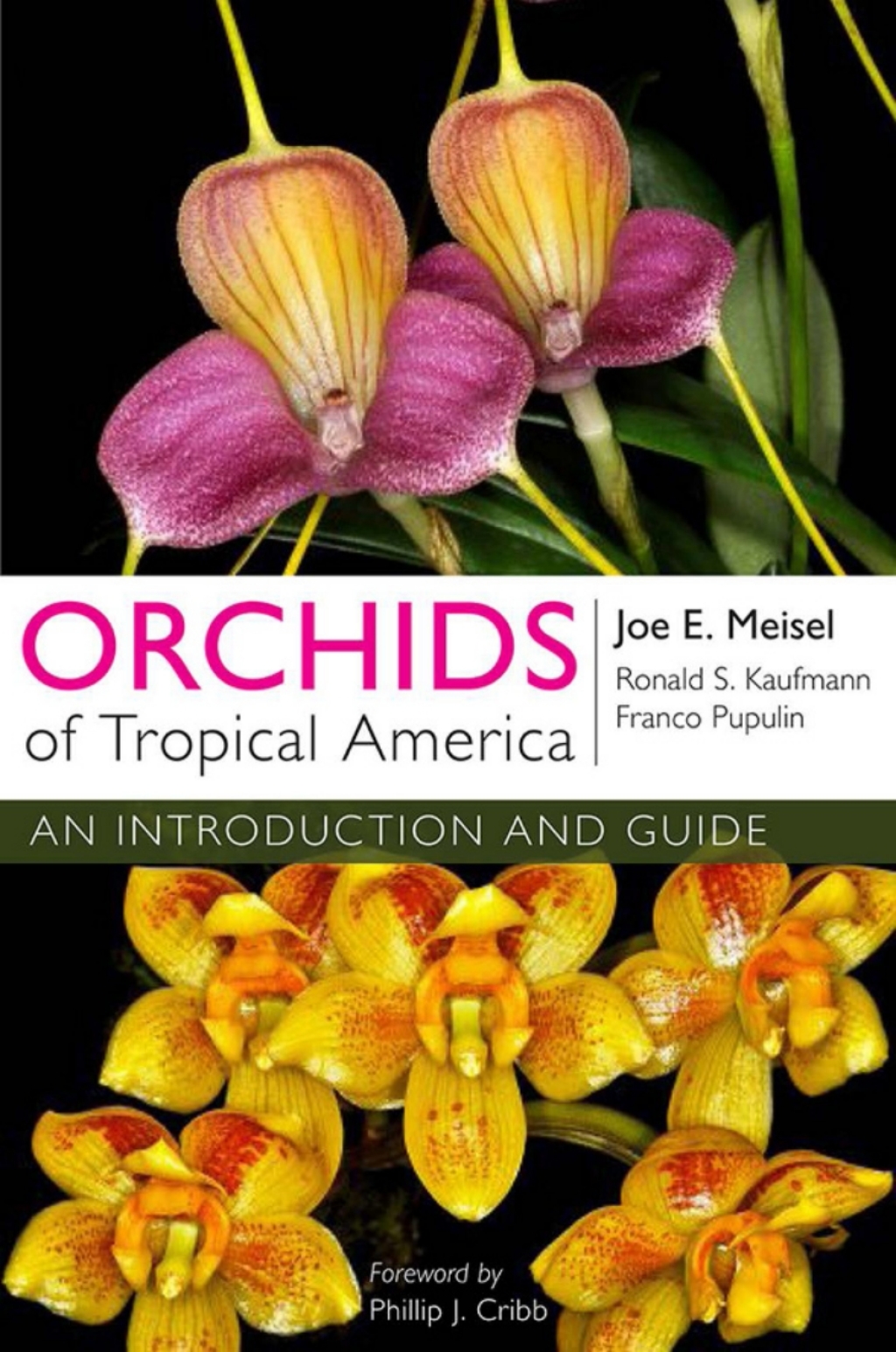Orchids of Tropical America An Introduction and Guide 1st Edition â€“ PDF/EPUB Version Downloadable