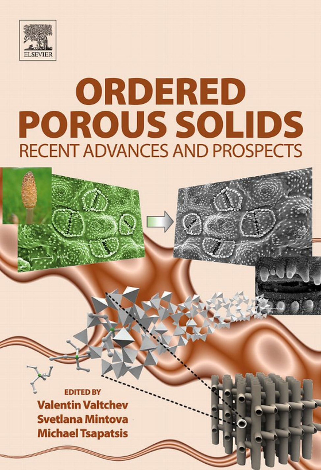 Ordered Porous Solids  â€“ PDF/EPUB Version Downloadable