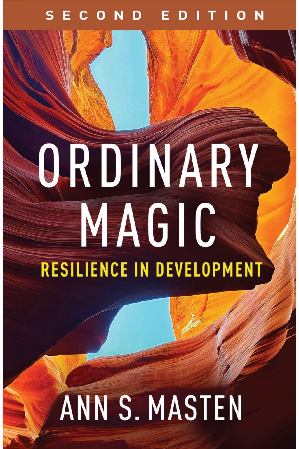 Ordinary Magic Resilience in Development 2nd Edition â€“ PDF/EPUB Version Downloadable