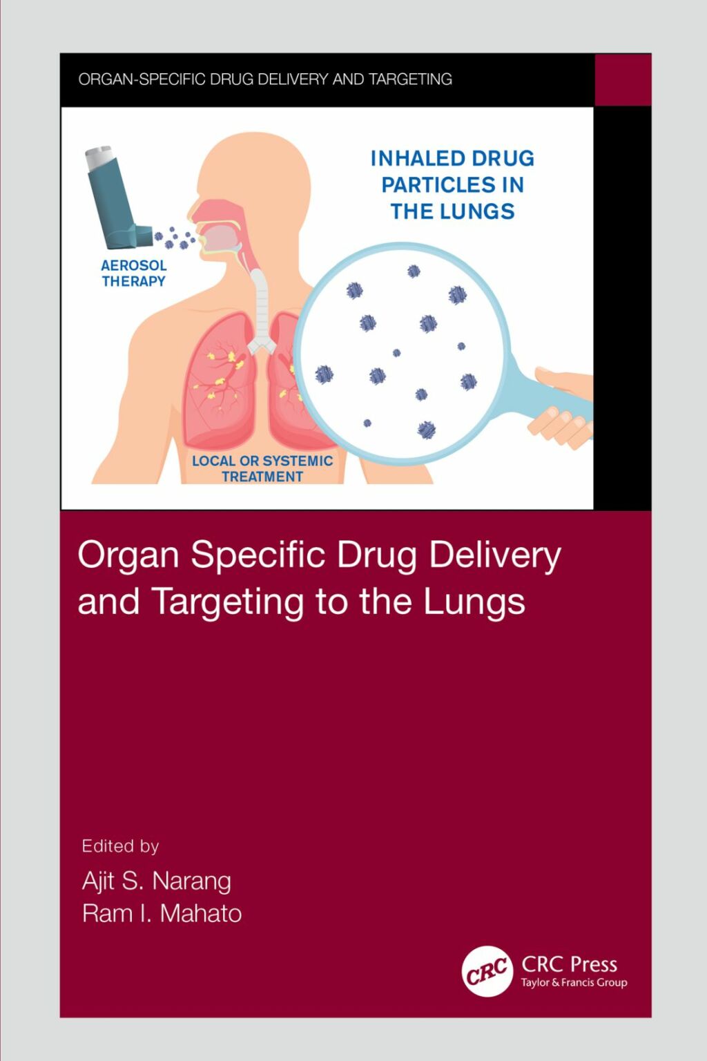 Organ Specific Drug Delivery and Targeting to the Lungs 1st Edition â€“ PDF/EPUB Version Downloadable