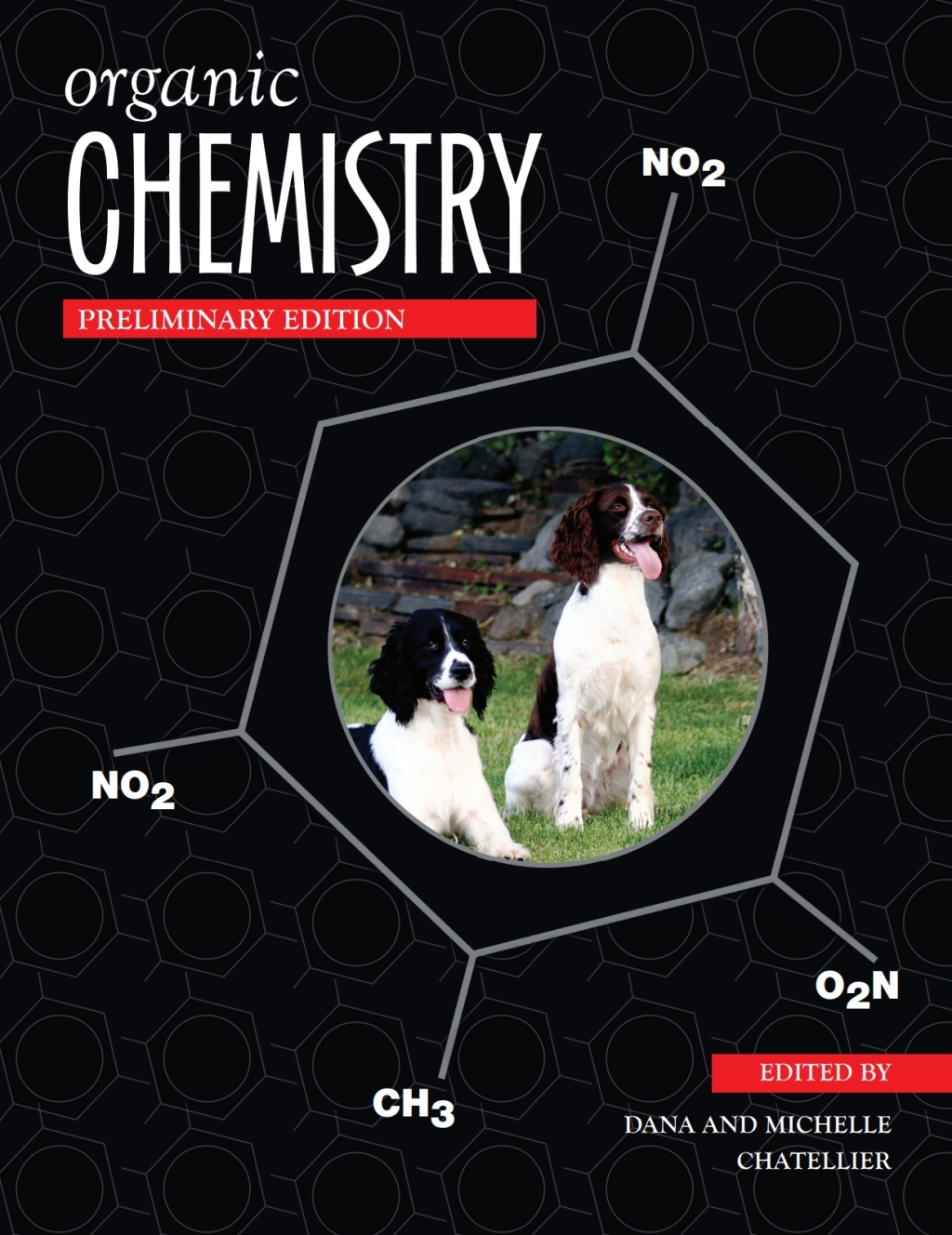 Organic Chemistry 1st Edition â€“ PDF/EPUB Version Downloadable