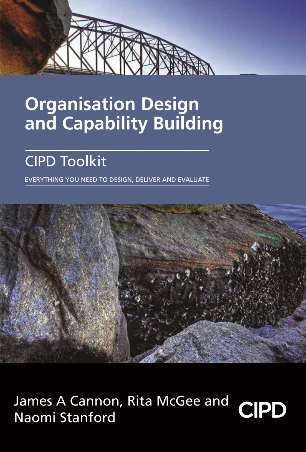 Organisation Design and Capability Building 1st Edition â€“ PDF/EPUB Version Downloadable