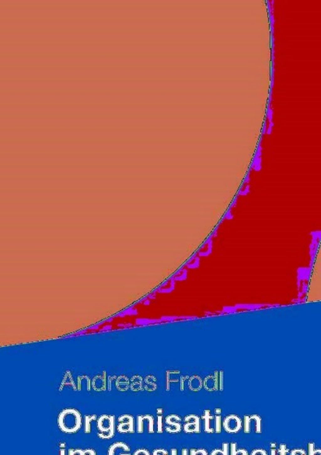 Organisation im Gesundheitsbetrieb Betriebswirtschaft fÃ¼r das Gesundheitswesen  â€“ PDF/EPUB Version Downloadable