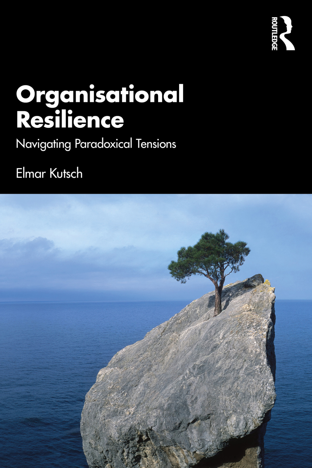 Organisational Resilience Navigating Paradoxical Tensions 1st Edition â€“ PDF/EPUB Version Downloadable