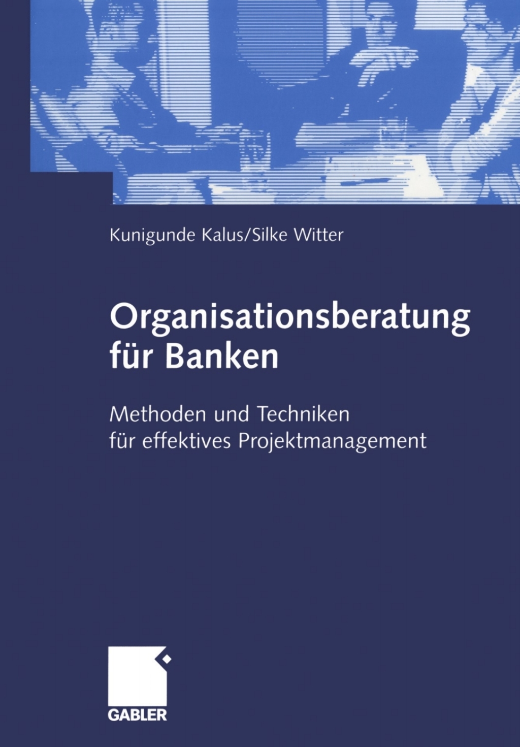 Organisationsberatung fÃ¼r Banken Methoden und Techniken fÃ¼r effektives Projektmanagement  â€“ PDF/EPUB Version Downloadable