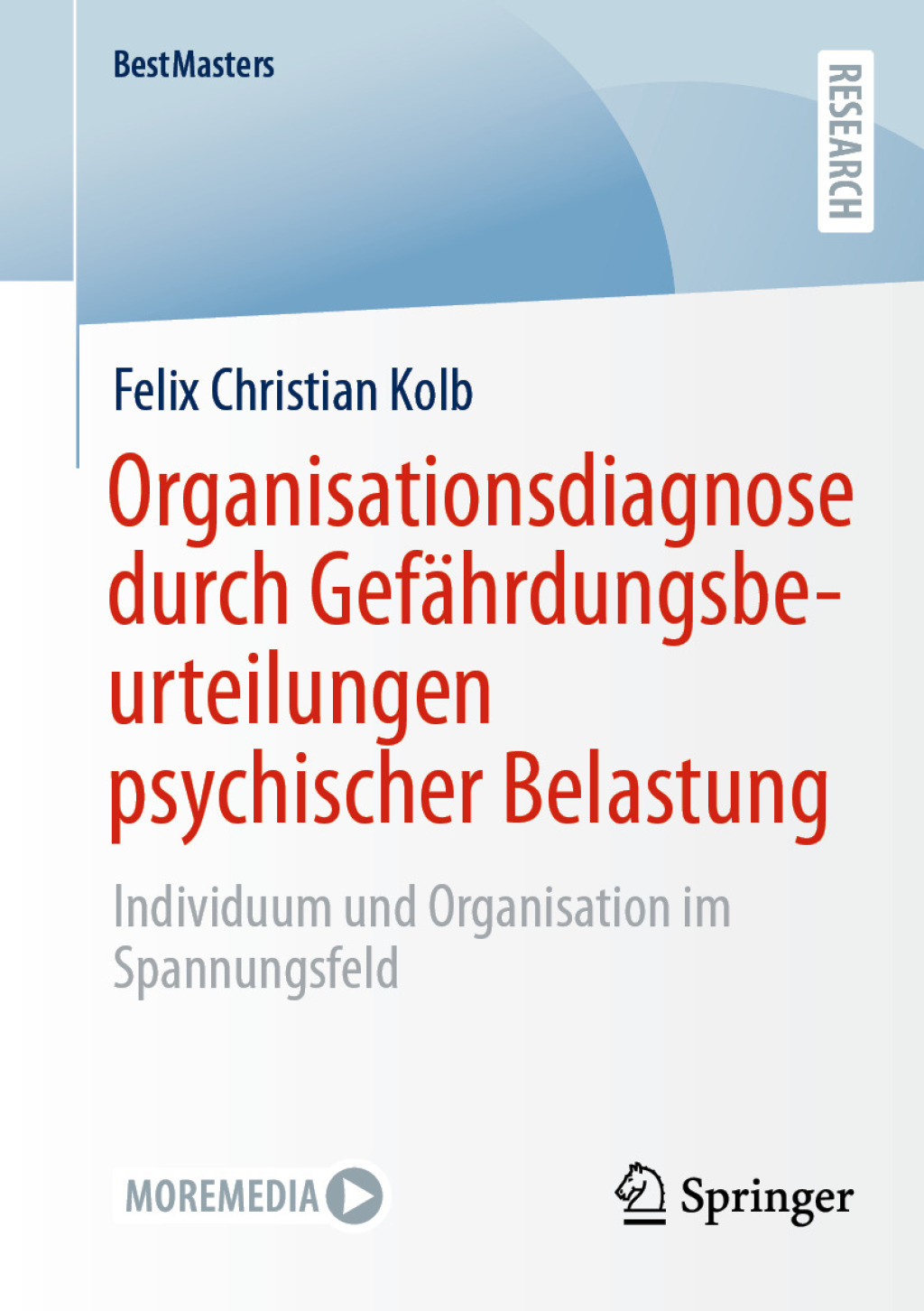 Organisationsdiagnose durch GefÃ¤hrdungsbeurteilungen psychischer Belastung Individuum und Organisation im Spannungsfeld  â€“ PDF/EPUB Version Downloadable