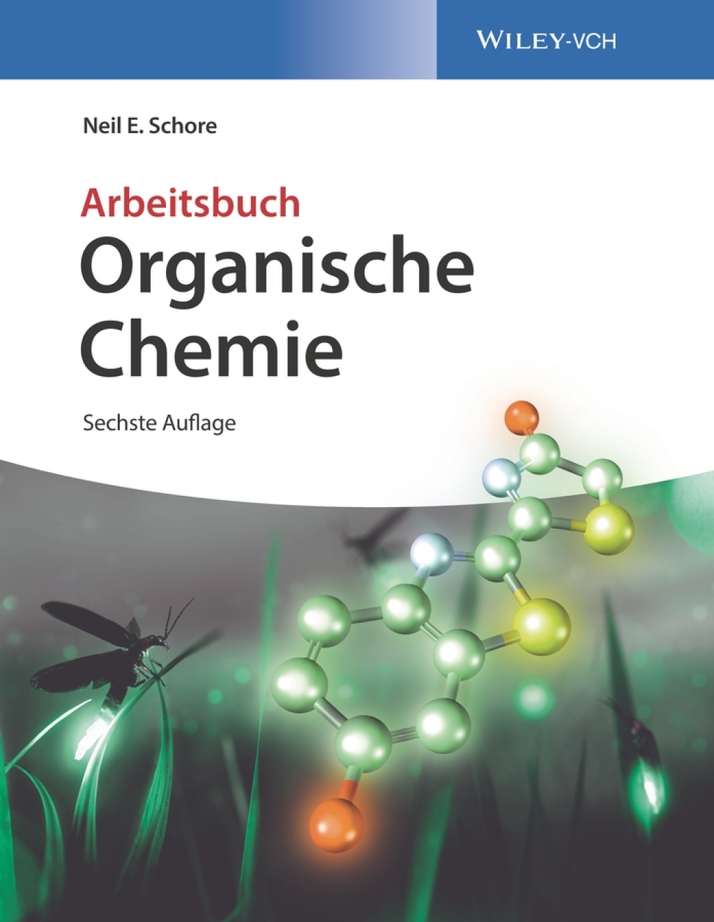 Organische Chemie Arbeitsbuch 6th Edition â€“ PDF/EPUB Version Downloadable