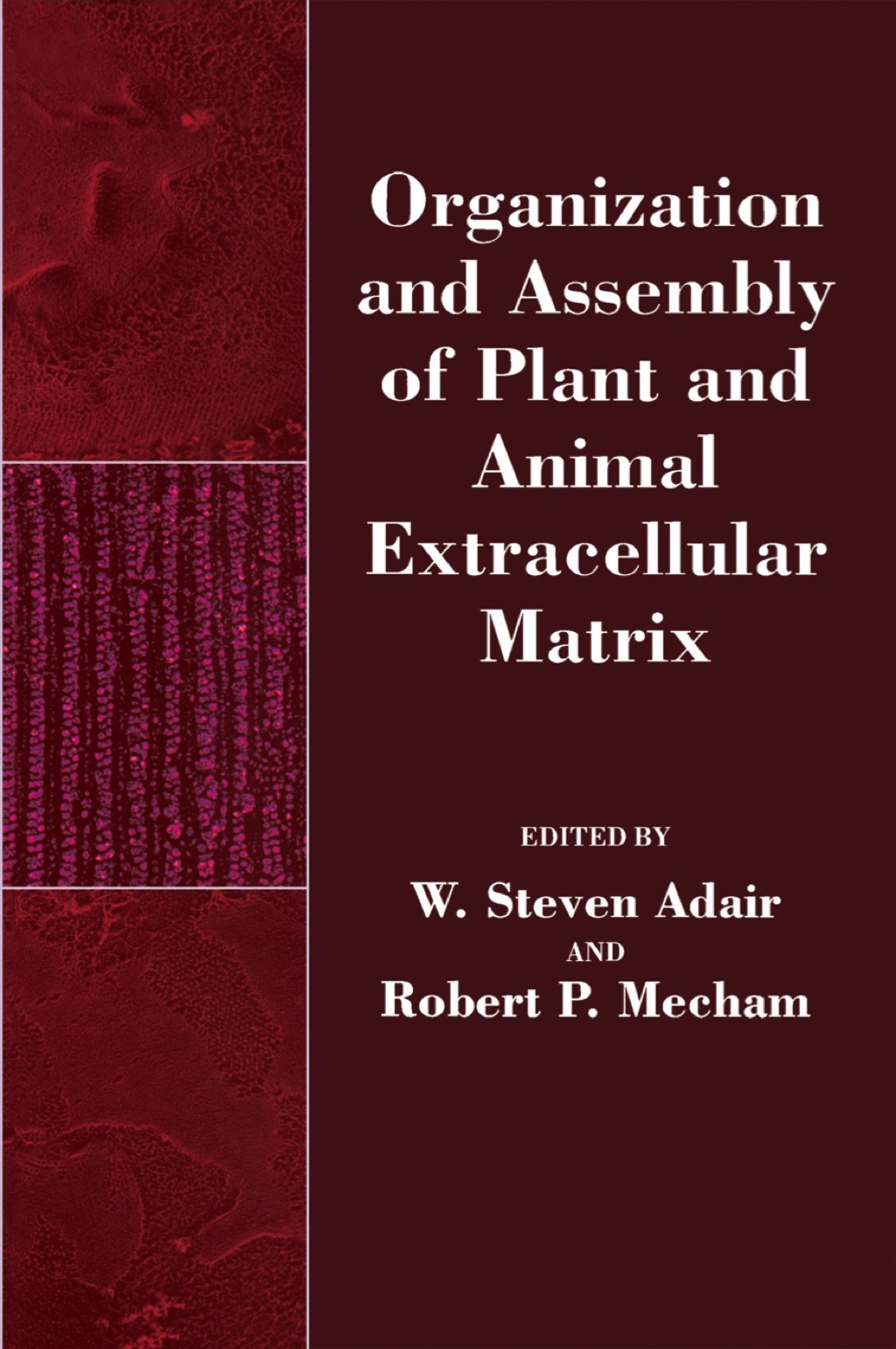 Organization and Assembly of Plant and Animal Extracellular Matrix  â€“ PDF/EPUB Version Downloadable