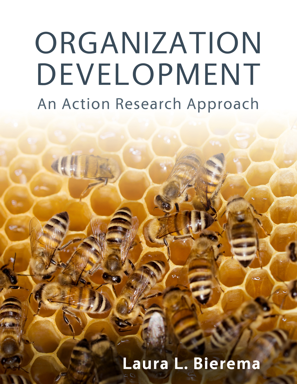 Organization Development: An Action Research Approach 1st Edition â€“ PDF/EPUB Version Downloadable