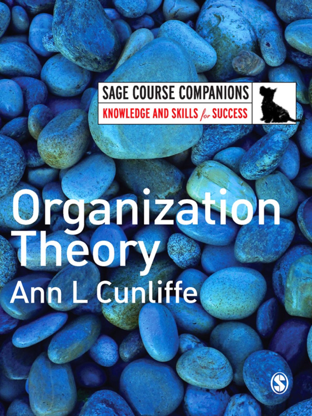 Organization Theory 1st Edition â€“ PDF/EPUB Version Downloadable
