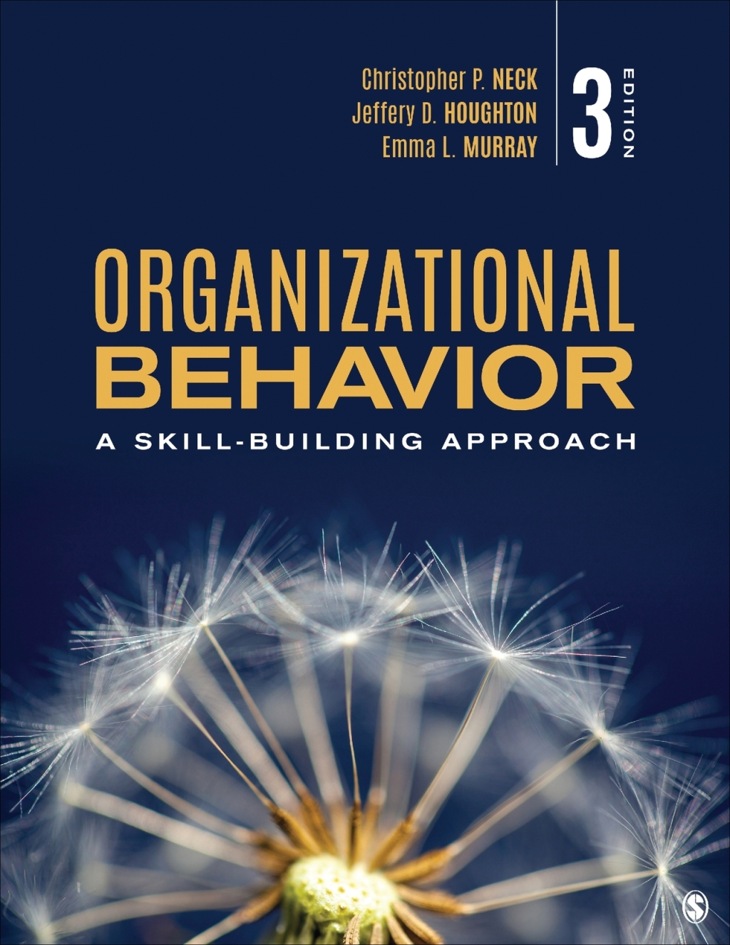 Organizational Behavior A Skill-Building Approach 3rd Edition â€“ PDF/EPUB Version Downloadable