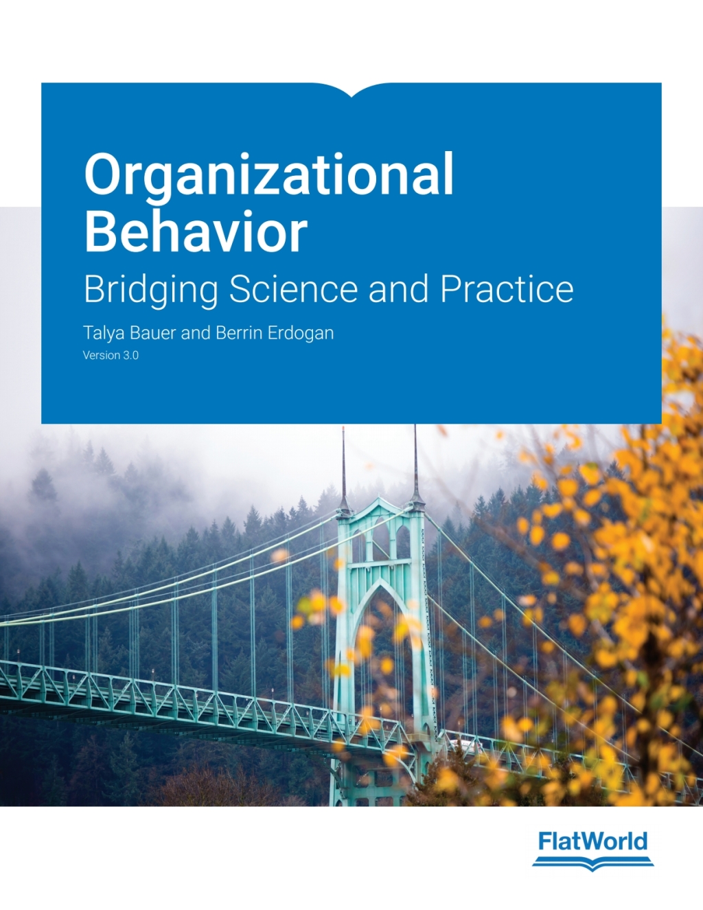Organizational Behavior: Bridging Science and Practice v3.0  â€“ PDF/EPUB Version Downloadable