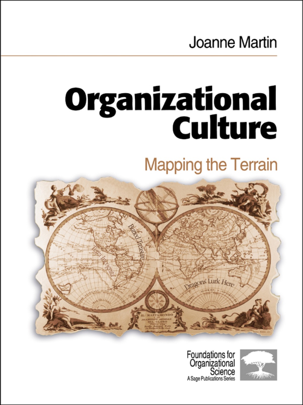 Organizational Culture Mapping the Terrain 1st Edition â€“ PDF/EPUB Version Downloadable