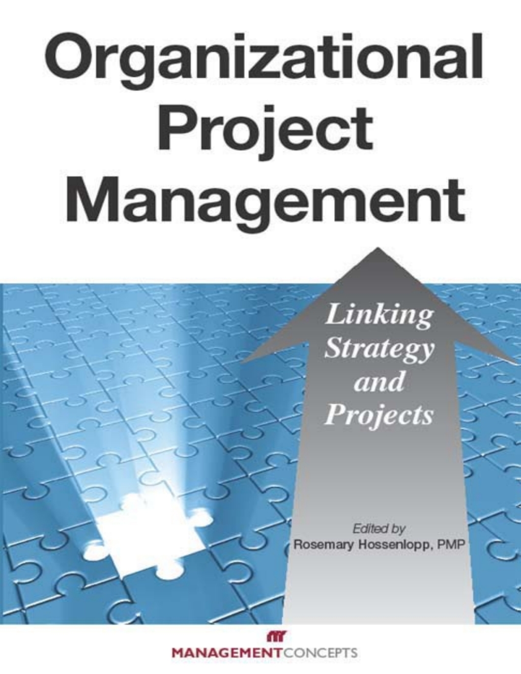 Organizational Project Management Linking Strategy and Projects 1st Edition â€“ PDF/EPUB Version Downloadable