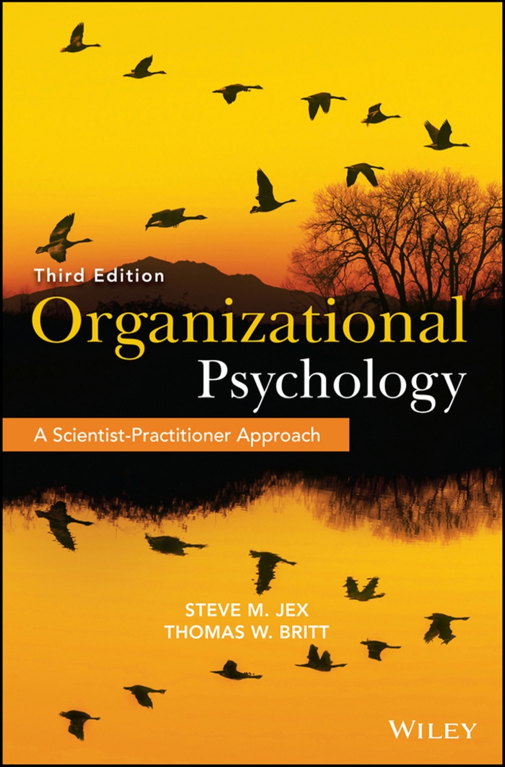 Organizational Psychology: A Scientist-Practitioner Approach 3rd Edition â€“ PDF/EPUB Version Downloadable