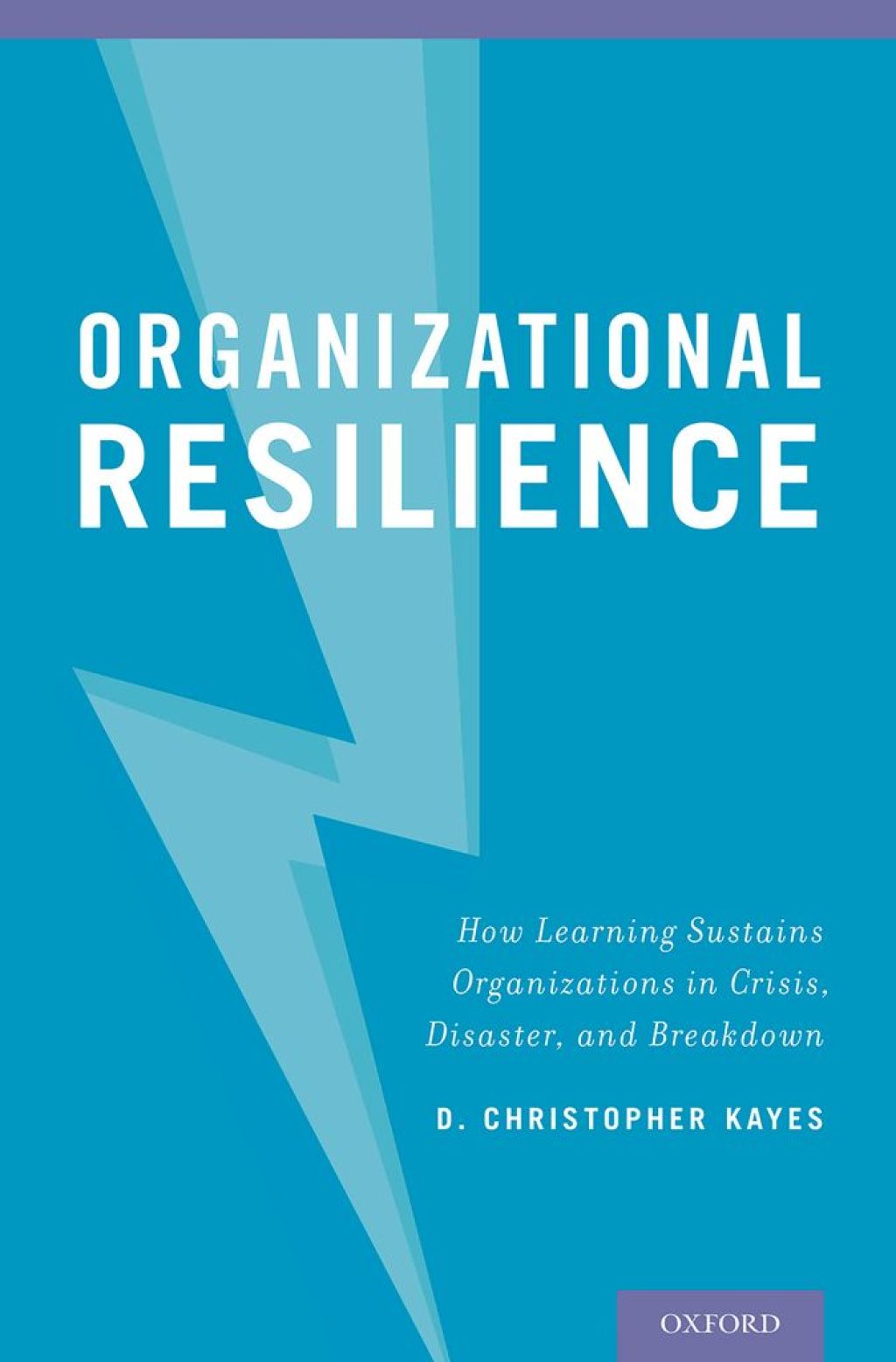 Organizational Resilience How Learning Sustains Organizations in Crisis, Disaster, and Breakdown  â€“ PDF/EPUB Version Downloadable