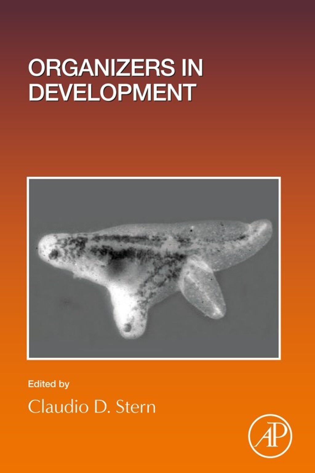 Organizers in Development 1st Edition â€“ PDF/EPUB Version Downloadable