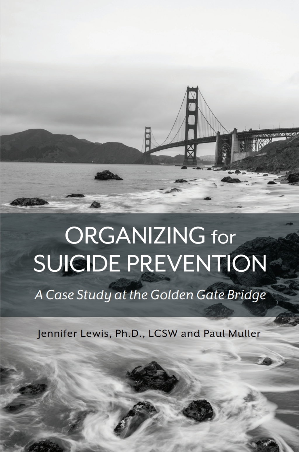 Organizing for Suicide Prevention 1st Edition â€“ PDF/EPUB Version Downloadable