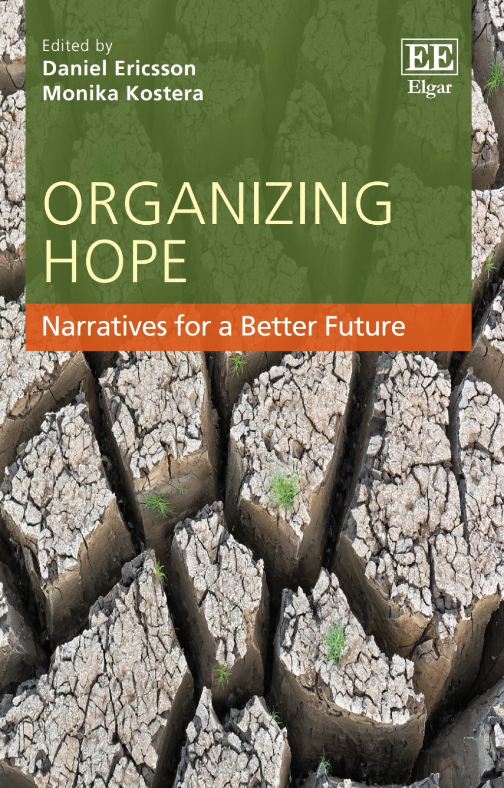 Organizing Hope 1st Edition â€“ PDF/EPUB Version Downloadable