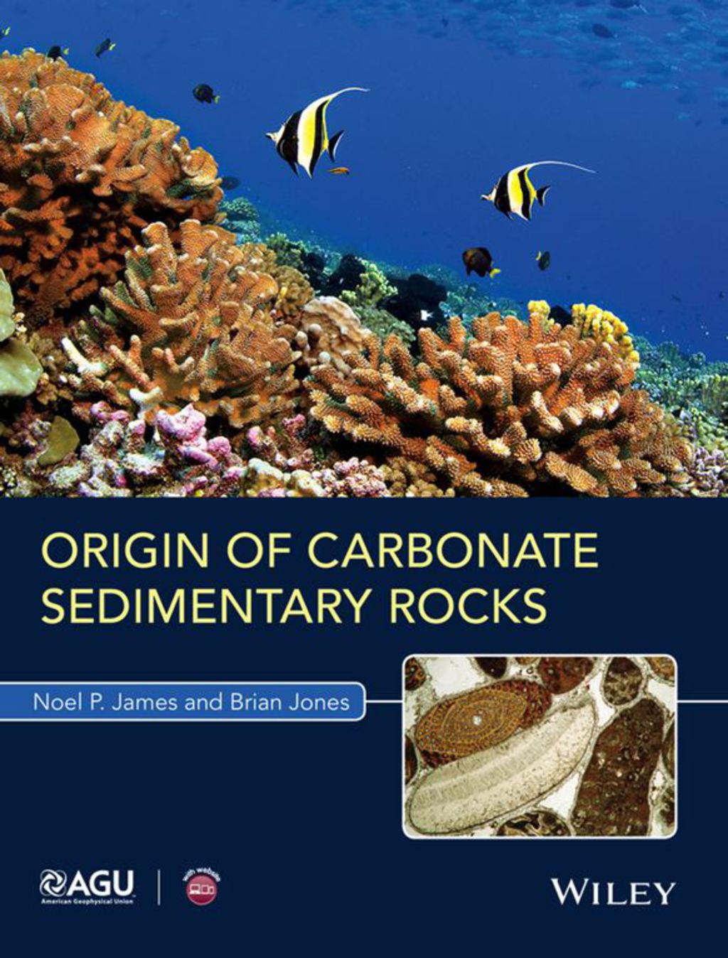 Origin of Carbonate Sedimentary Rocks 1st Edition â€“ PDF/EPUB Version Downloadable