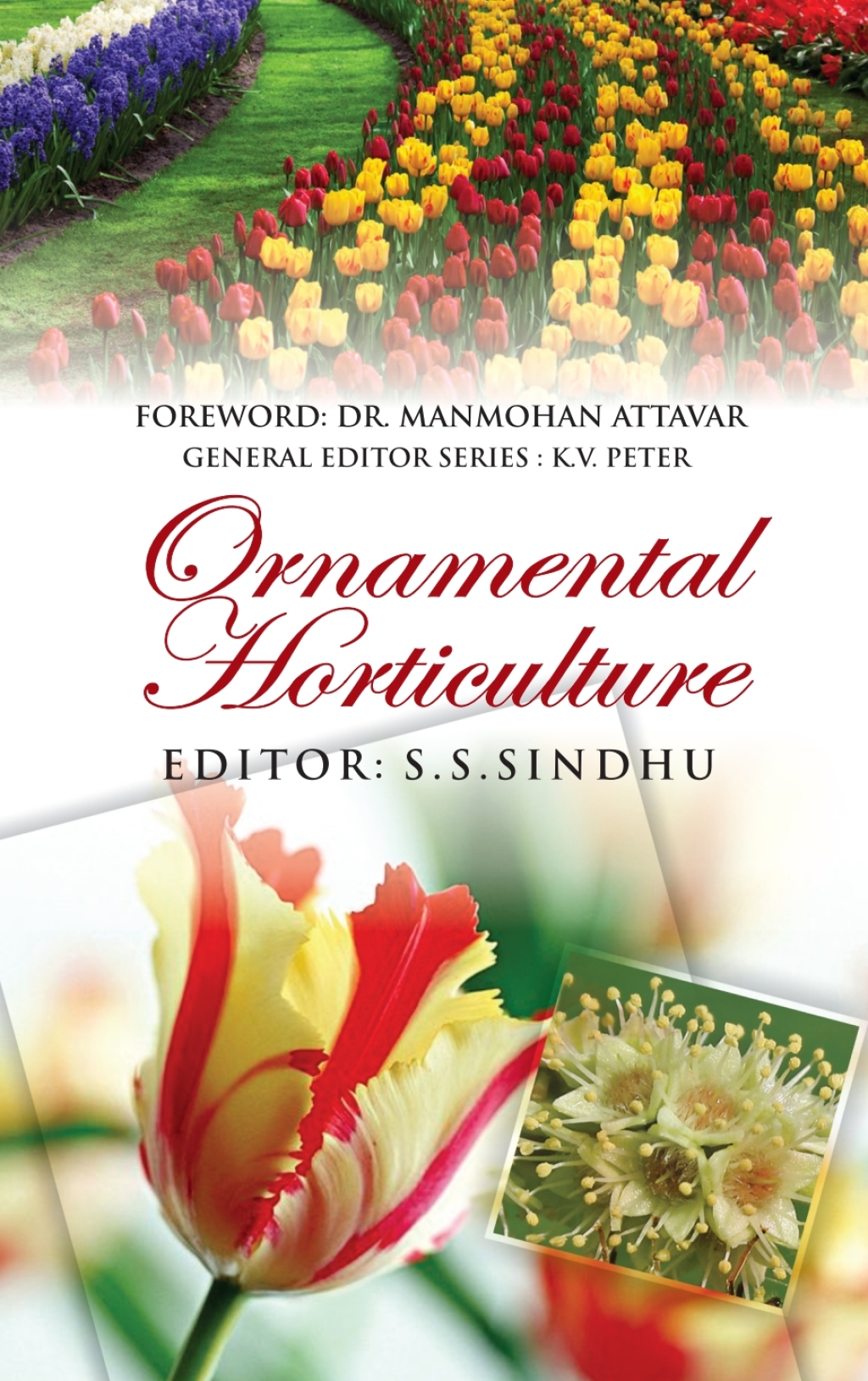 Ornamental Horticulture 1st Edition â€“ PDF/EPUB Version Downloadable