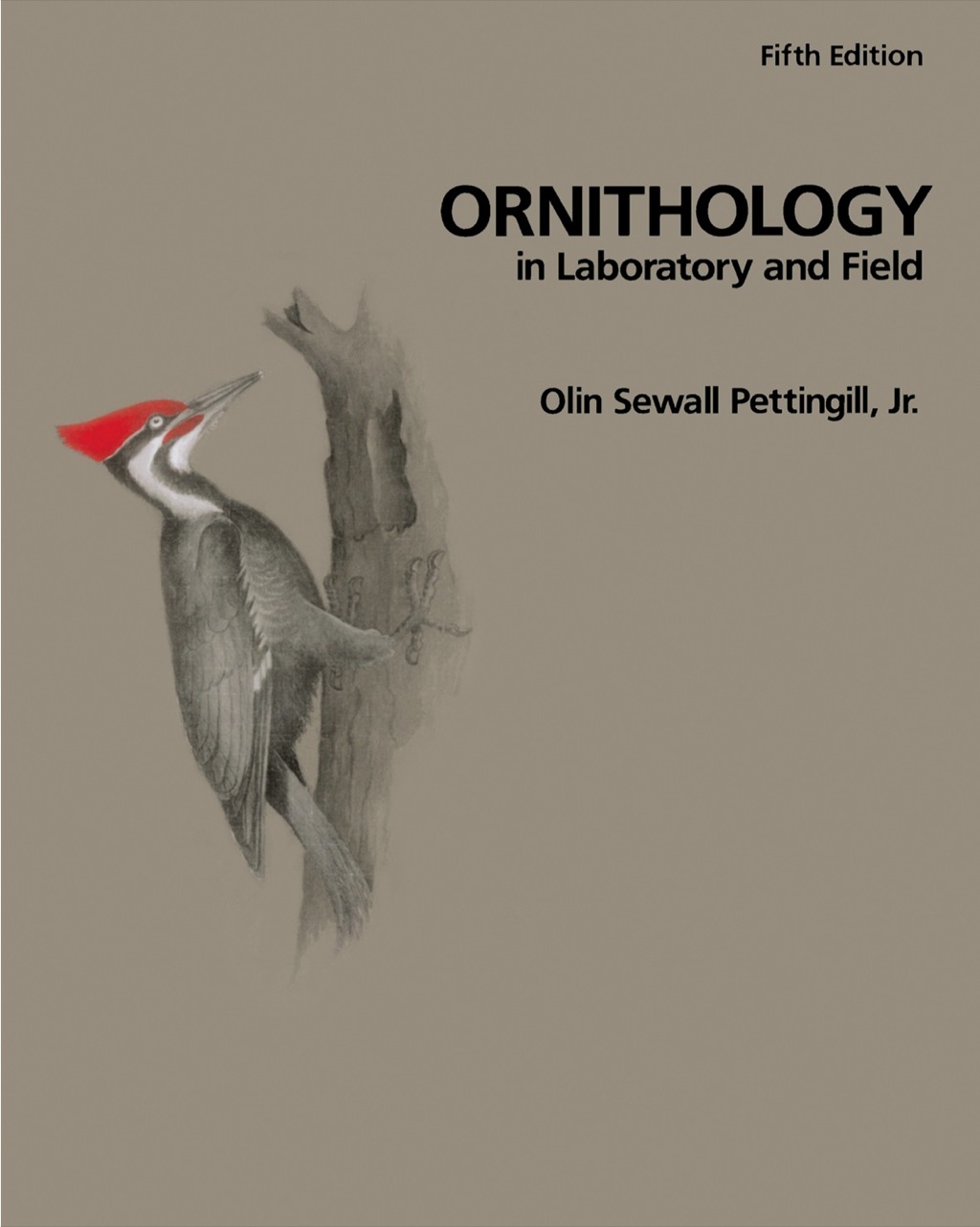 Ornithology in Laboratory and Field 5th Edition â€“ PDF/EPUB Version Downloadable