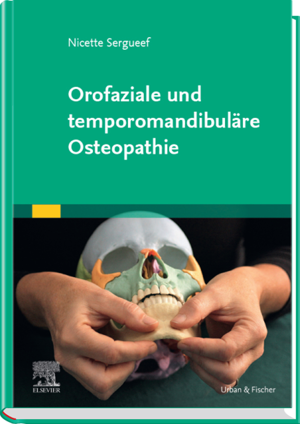 Orofaziale und temporomandibulÃ¤re Osteopathie 1st Edition â€“ PDF/EPUB Version Downloadable