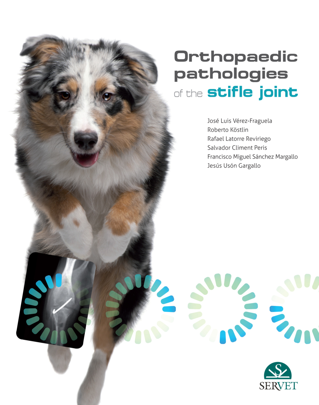 Orthopaedic pathologies of the Stifle Joint 1st Edition â€“ PDF/EPUB Version Downloadable