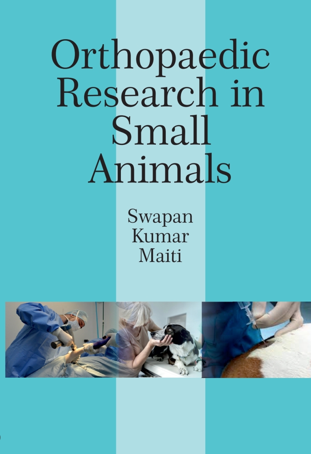 Orthopaedic Research in Small Animals 1st Edition â€“ PDF/EPUB Version Downloadable