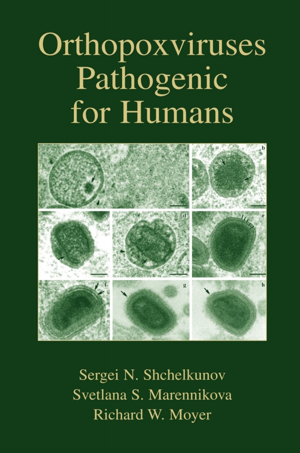 Orthopoxviruses Pathogenic for Humans 1st Edition â€“ PDF/EPUB Version Downloadable