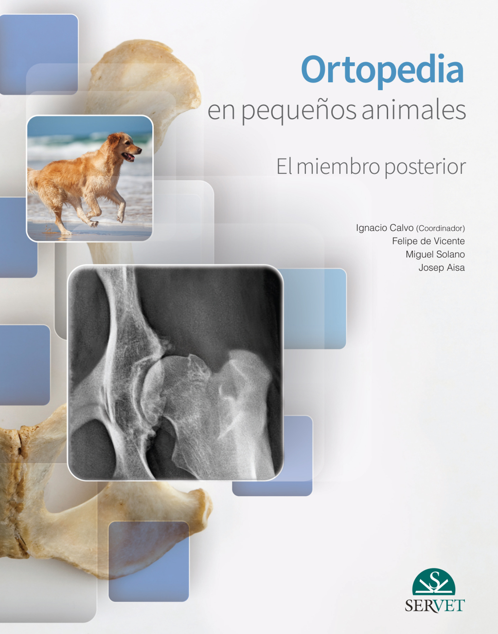 Ortopedia en pequeÃ±os animales. El miembro posterior 1st Edition â€“ PDF/EPUB Version Downloadable