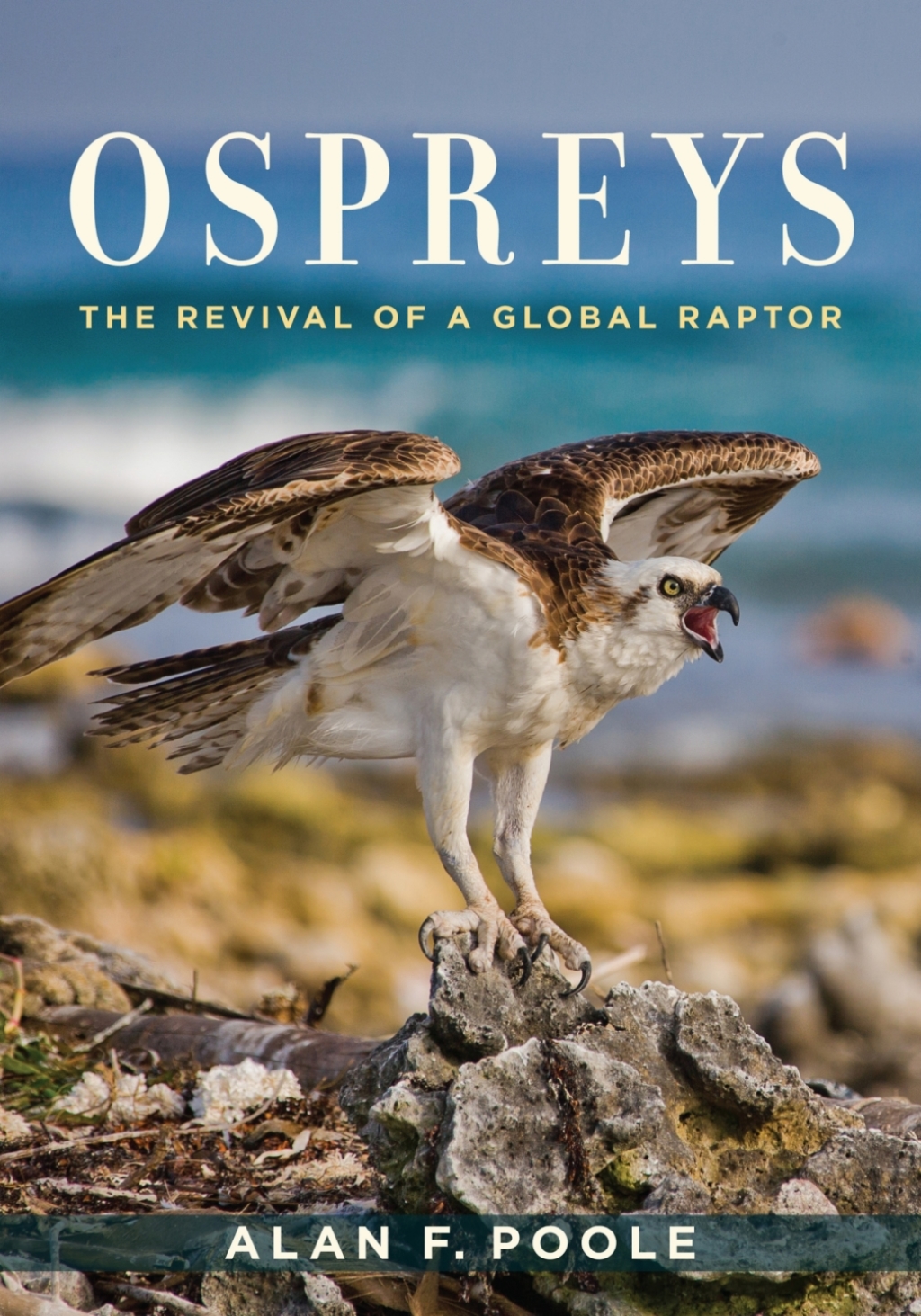 Ospreys The Revival of a Global Raptor  â€“ PDF/EPUB Version Downloadable
